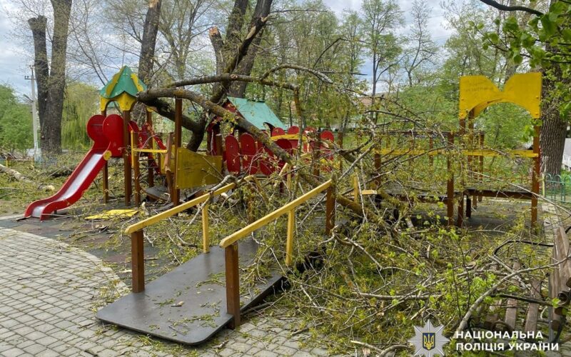 На Буковині дерева впали на дитячий майданчик: травмувалися двоє дітей