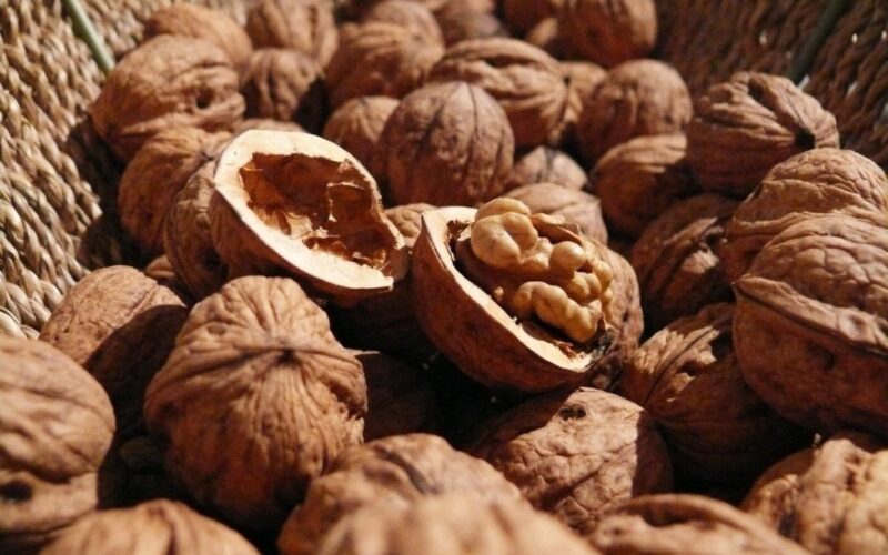 Суперфуд: схуднення й боротьба з Альцгеймером у жмені горіхів