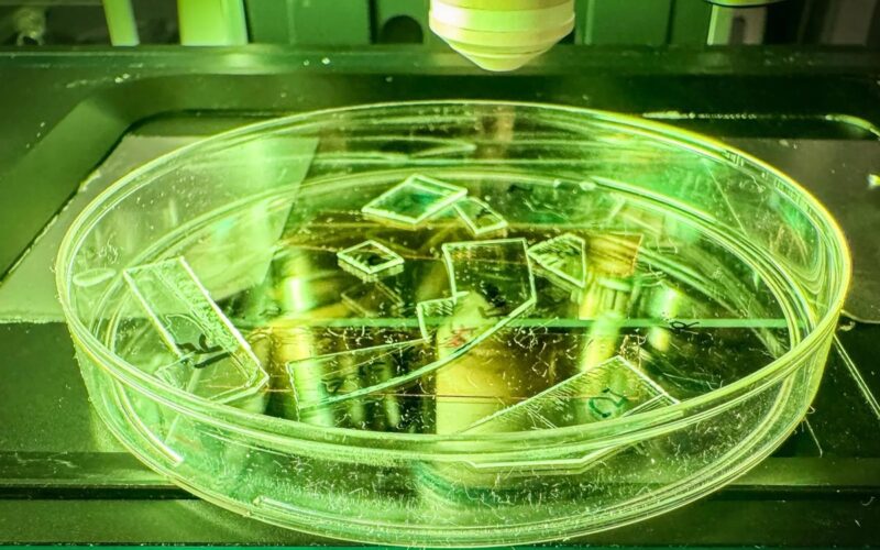 Вчені створили пластик, який знищує віруси при дотику