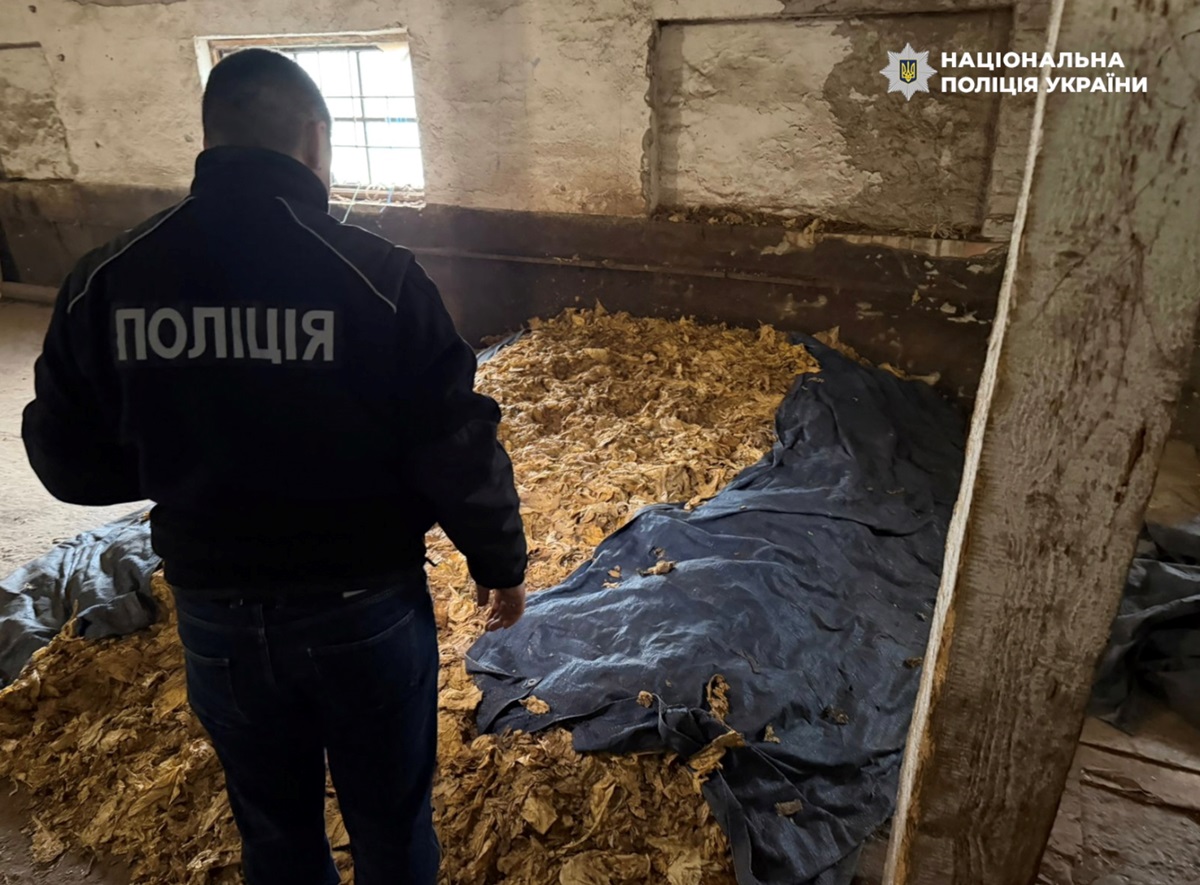 Викрито схему повного циклу виробництва нелегального тютюну на Закарпатті